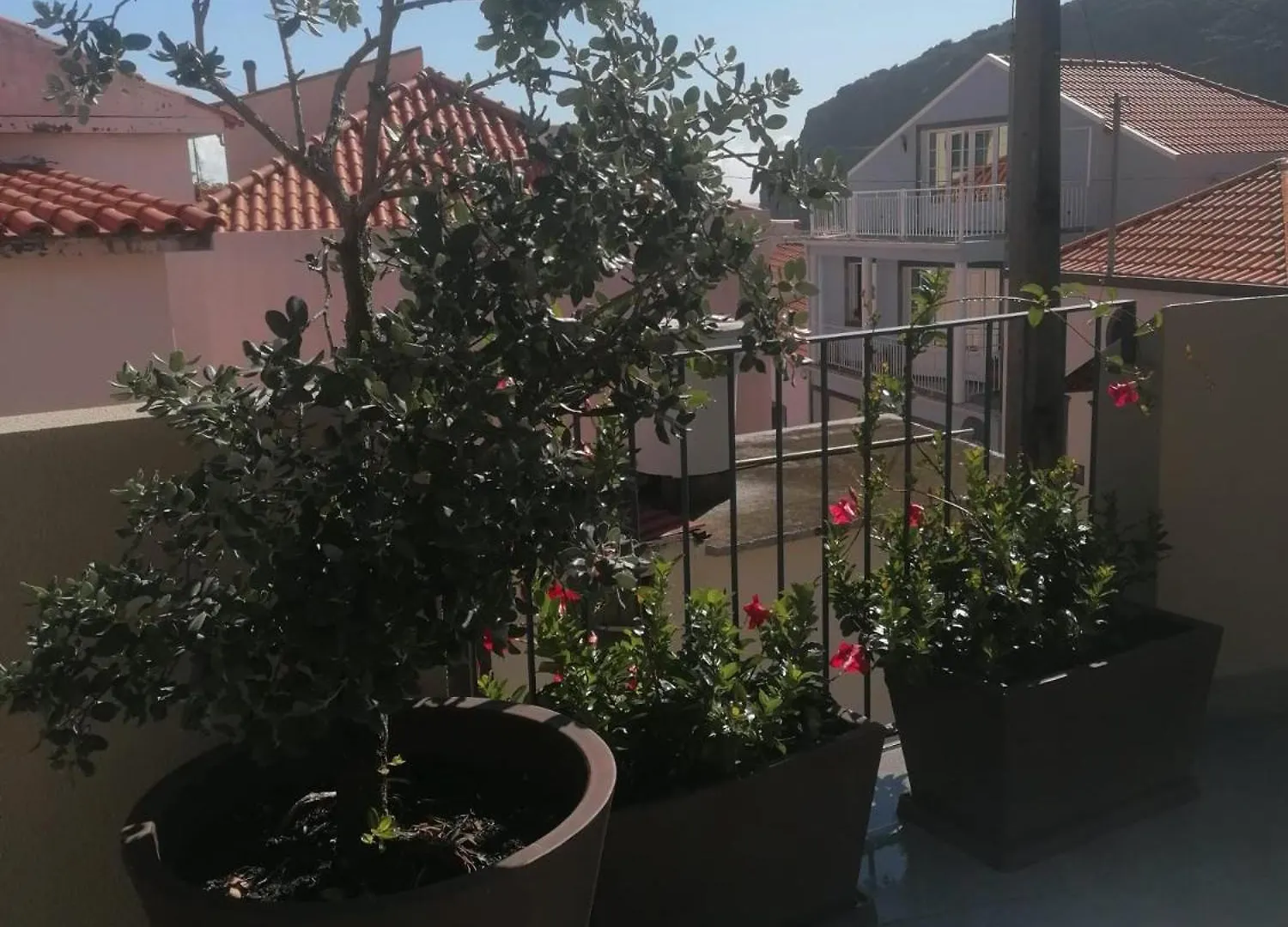 Favinha Rooftop Machico