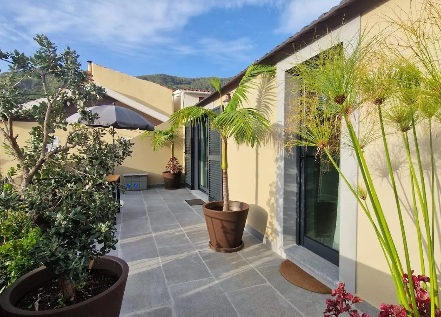 Favinha Rooftop Machico  Holiday home